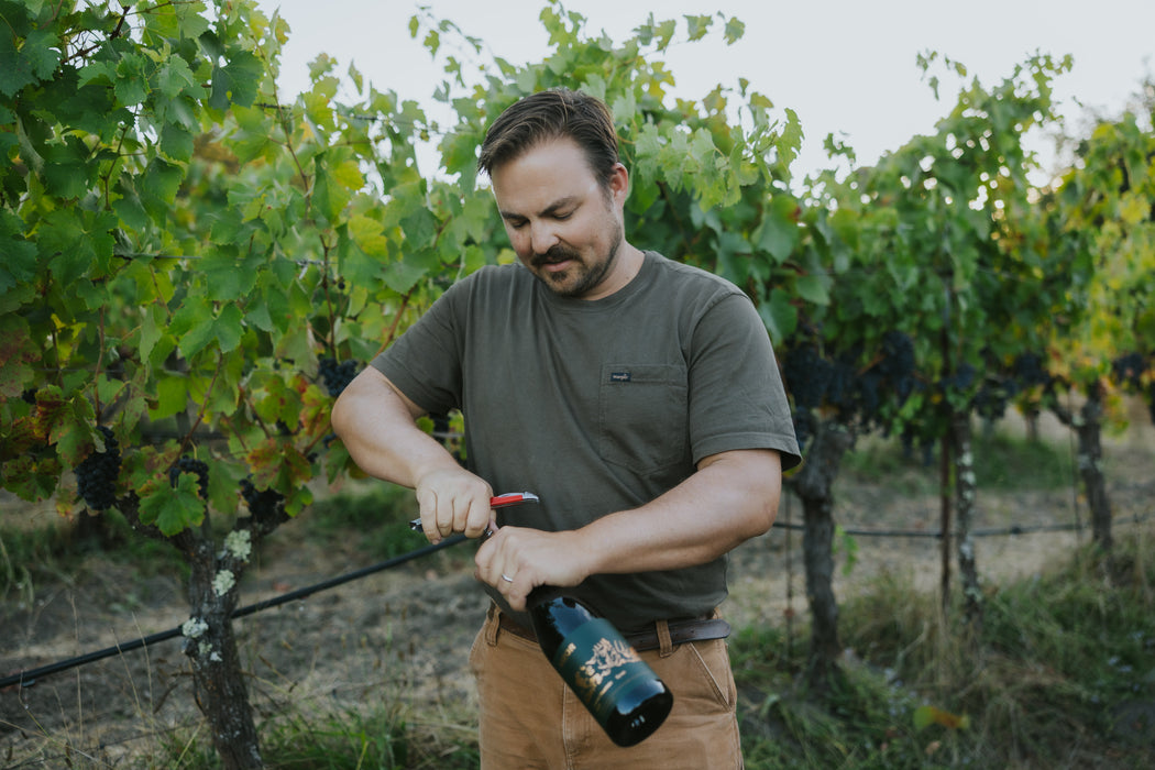 Kizor Family Six Pack