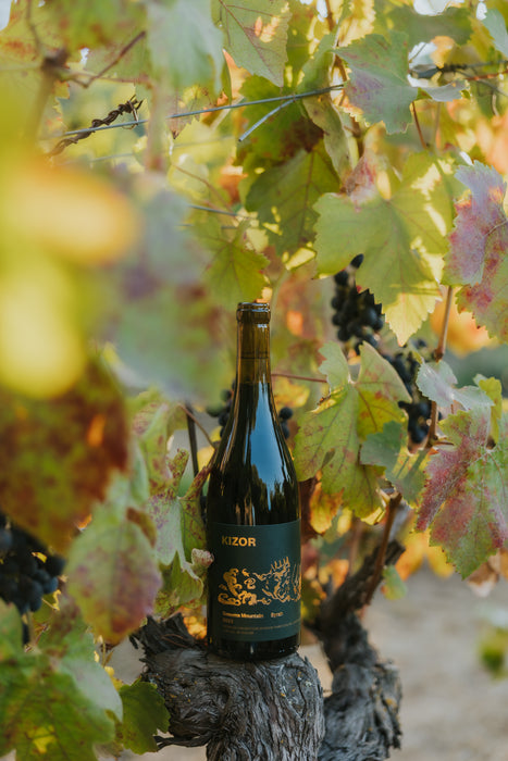 2023 Sonoma Mountain Syrah